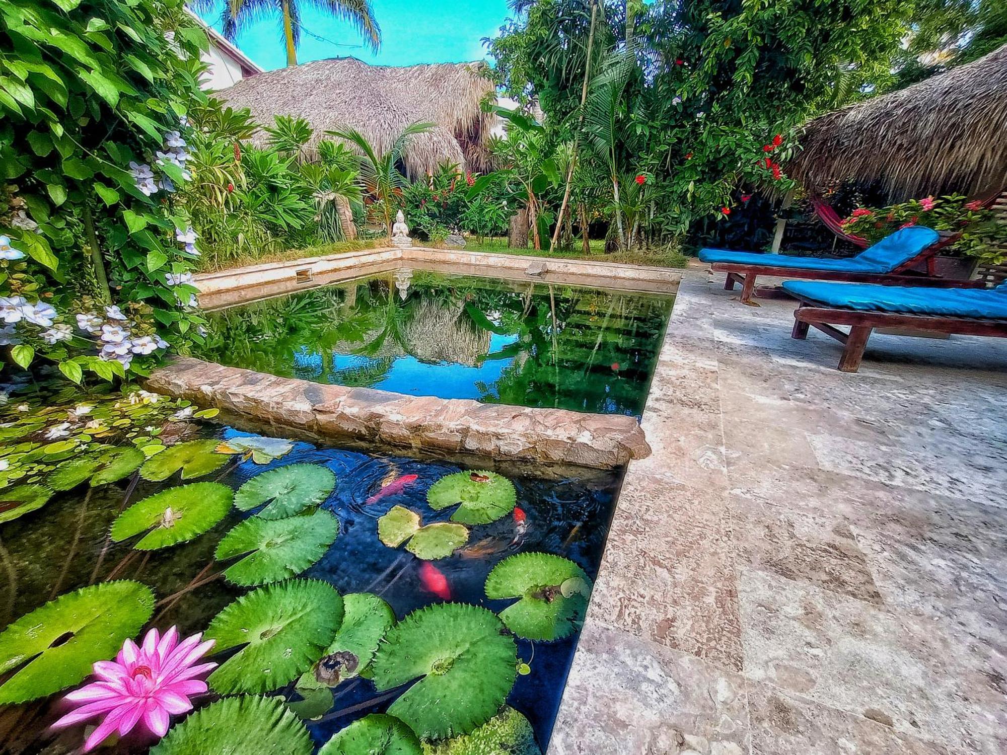 Hotel Dream Glamping Jungle Bohio Las Terrenas Exterior foto