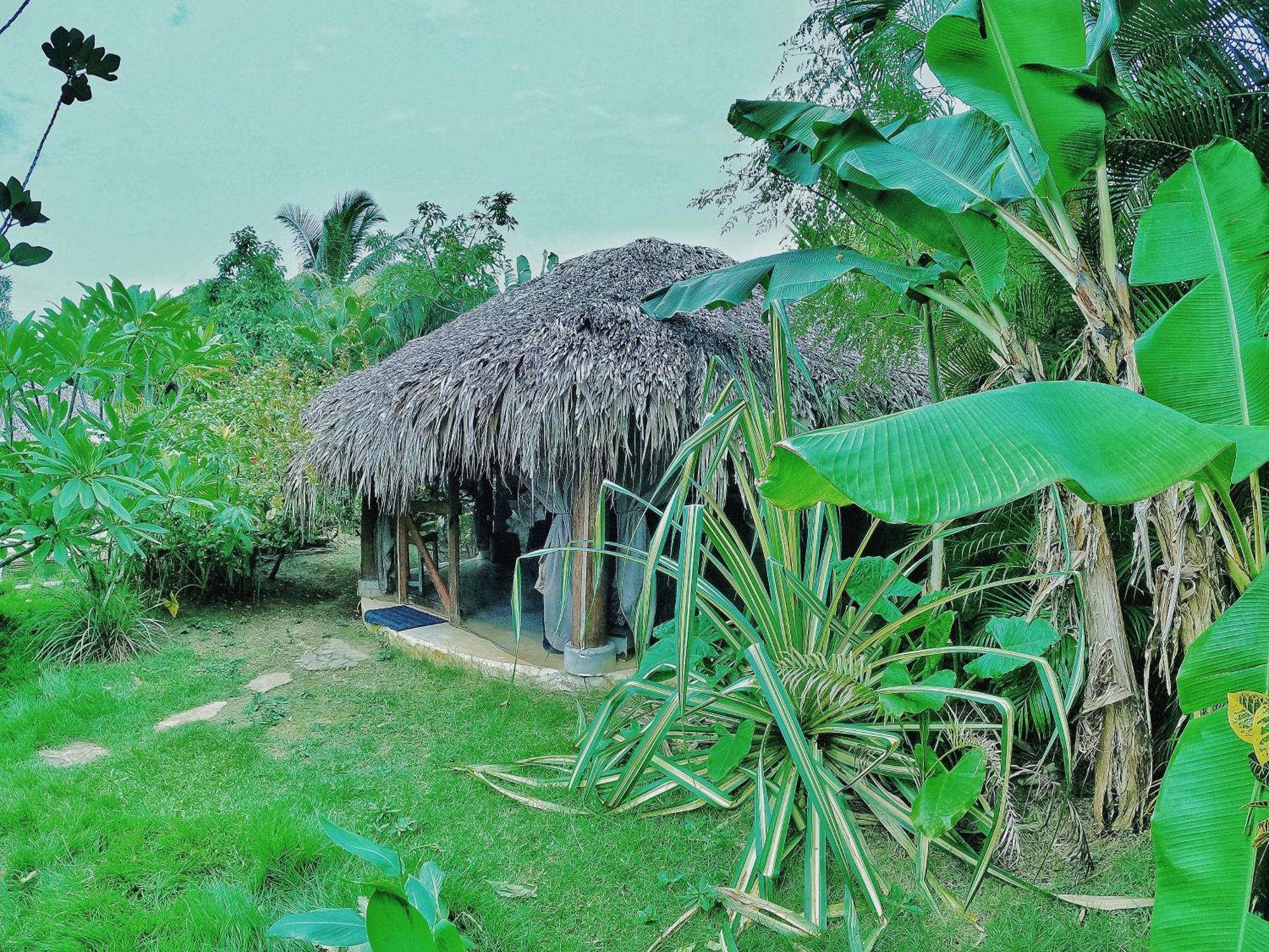 Hotel Dream Glamping Jungle Bohio Las Terrenas Exterior foto