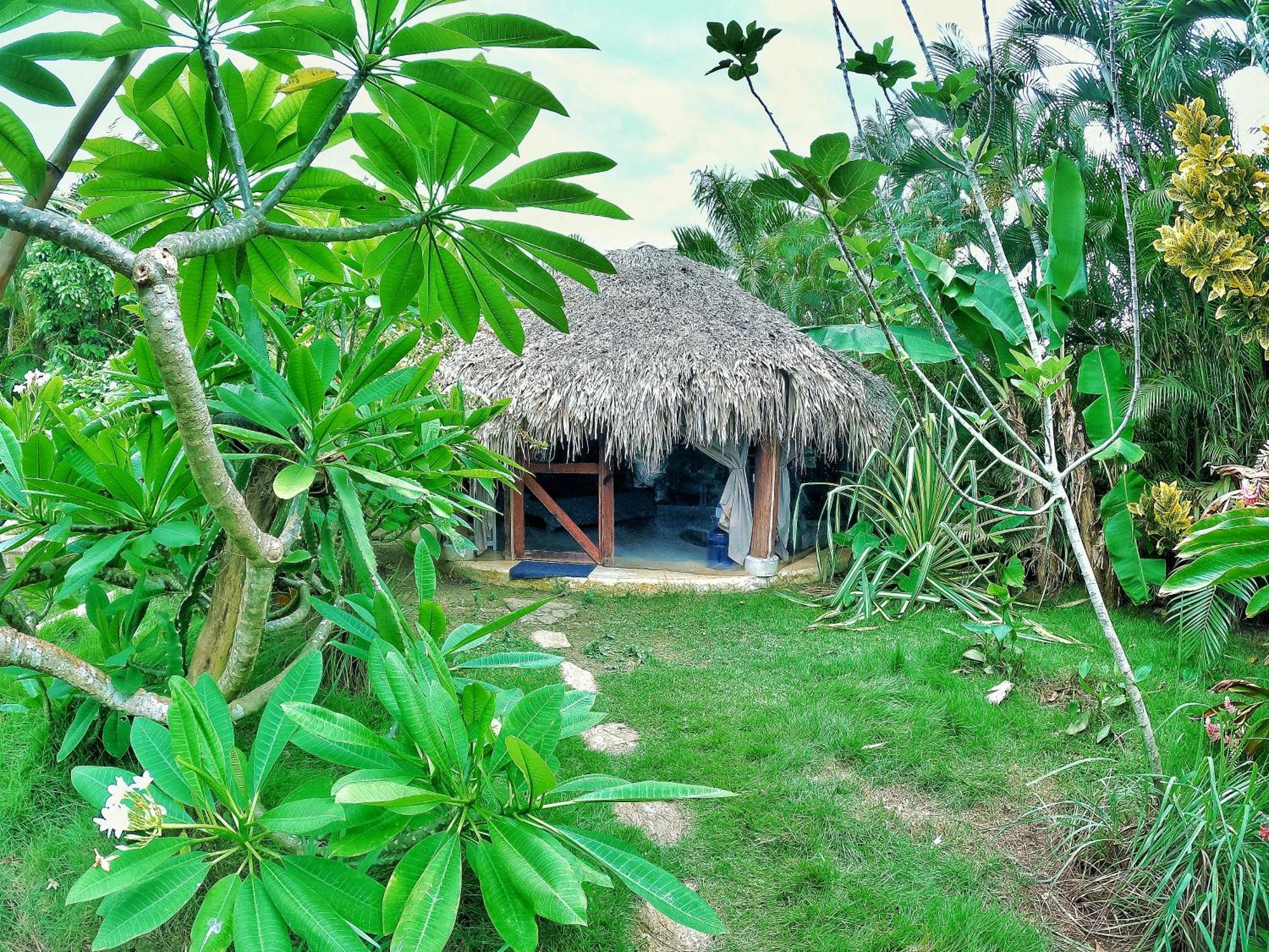 Hotel Dream Glamping Jungle Bohio Las Terrenas Exterior foto