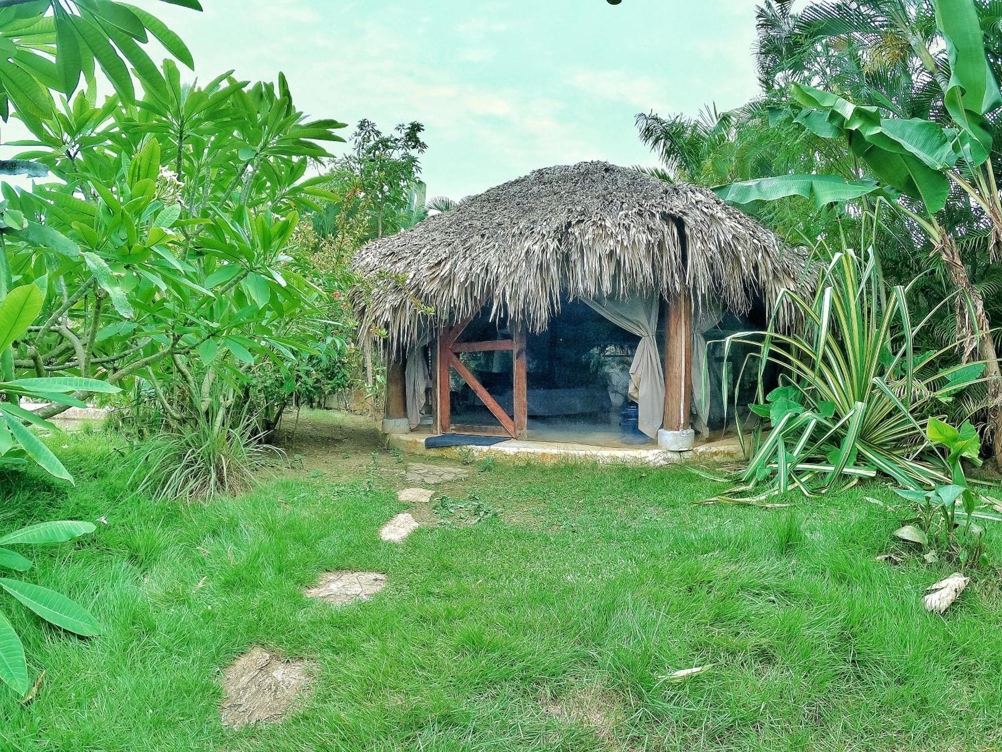 Hotel Dream Glamping Jungle Bohio Las Terrenas Exterior foto